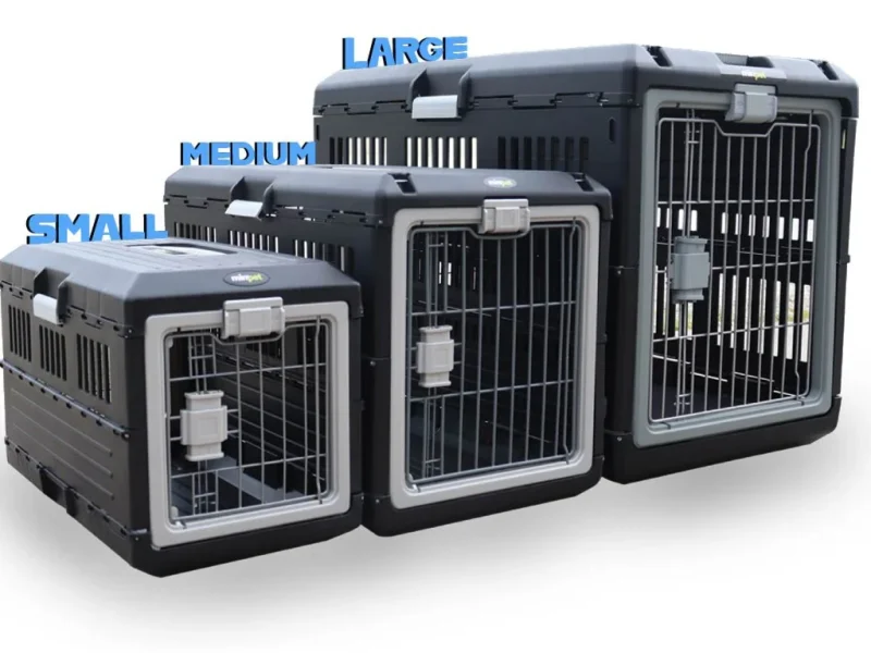 Best Portable Dog Crates for Hotel Stays (2026 Buyer’s Guide)