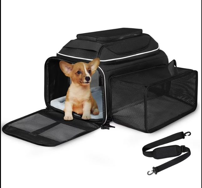 Best Airline Approved Dog Carriers (2026 Buyer’s Guide)
