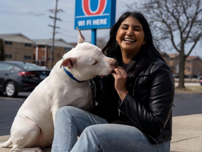 Are Motel 6 Hotels Dog Friendly? (2026 Pet Policy & What to Expect)