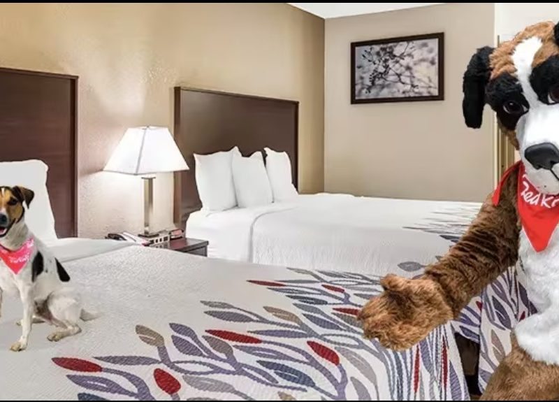 Are Red Roof Inn Hotels Dog Friendly? (2026 Pet Policy & What to Expect)