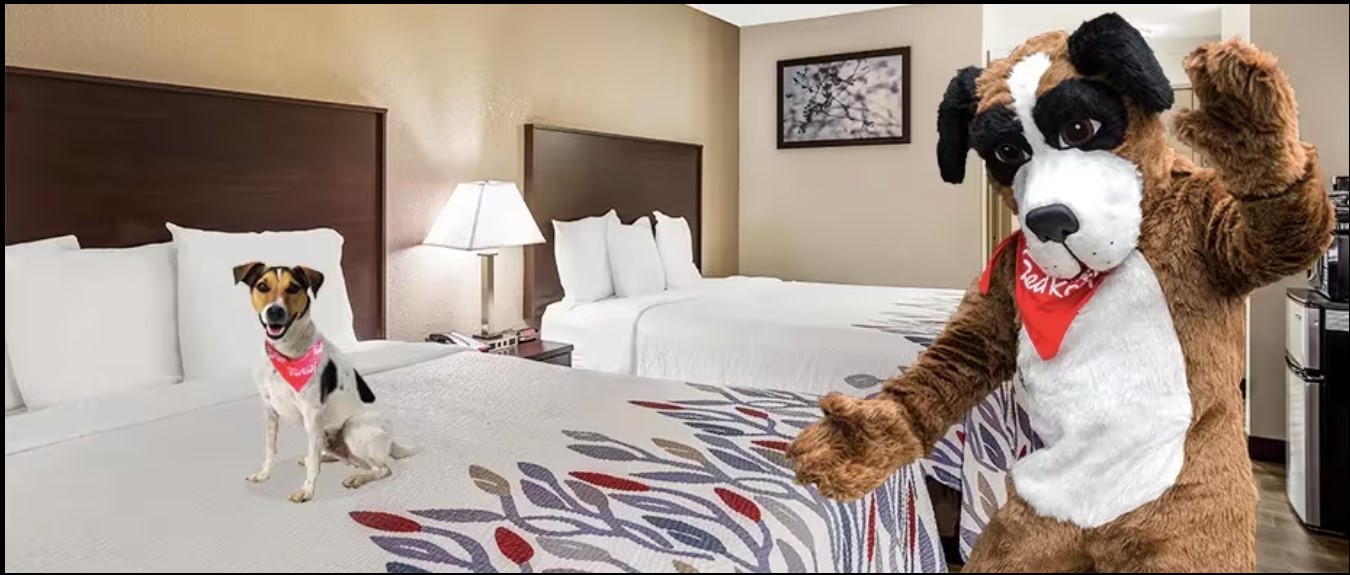 Are Red Roof Inn Hotels Dog Friendly? (2026 Pet Policy & What to Expect)
