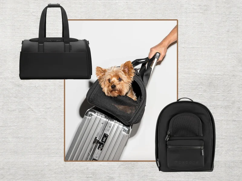 How to Choose the Right Dog Travel Carrier (2026 Complete Guide)