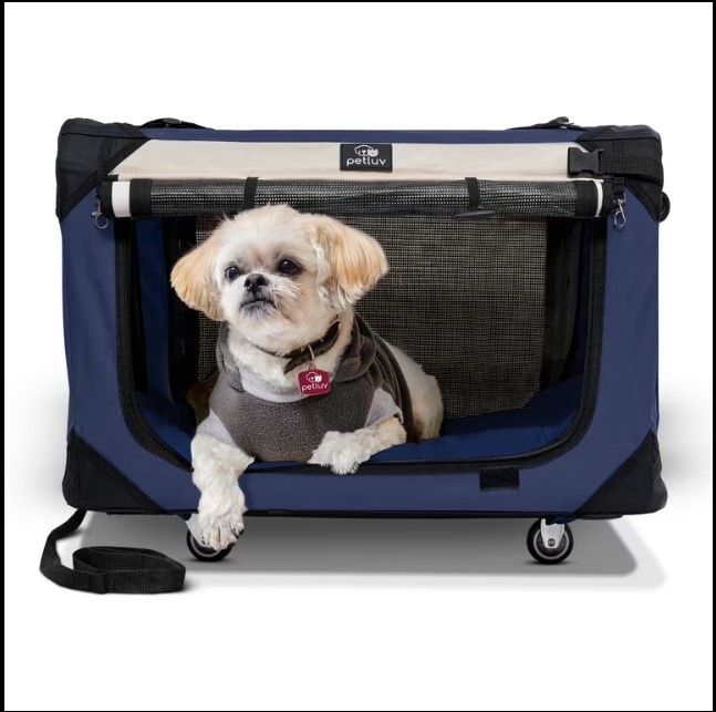 Best Dog Carriers for Nervous Dogs (2026 Buyer’s Guide)